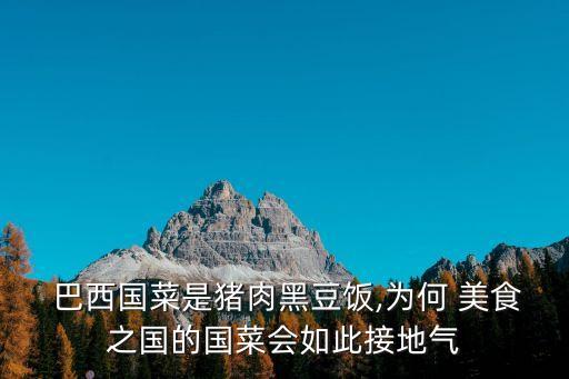 巴西美食,巴西十種常見食物（一）