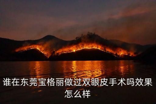 東莞寶格麗微整做的好嗎，誰在東莞寶格麗做過雙眼皮手術嗎效果怎么樣