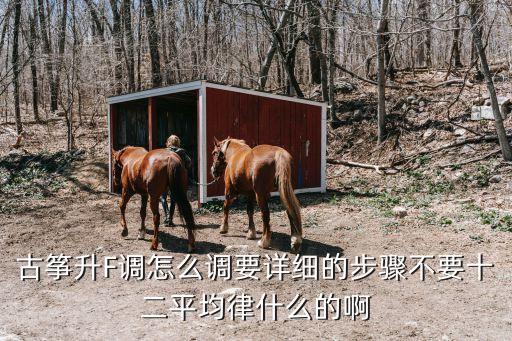 古箏升F調怎么調要詳細的步驟不要十二平均律什么的啊