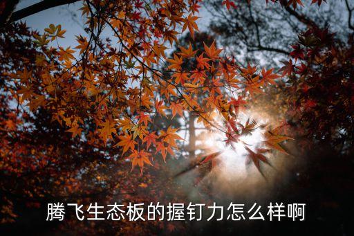 騰飛生態(tài)板，騰飛蘇香桐生態(tài)板什么價(jià)格