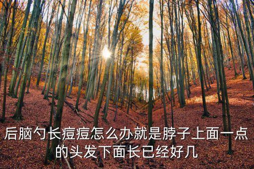 后腦勺長痘痘怎么辦就是脖子上面一點的頭發下面長已經好幾