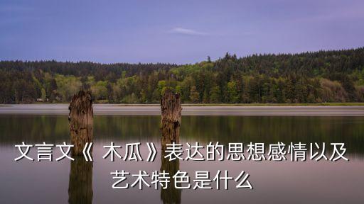 木瓜詩經,投我一票為木瓜，回之為福
