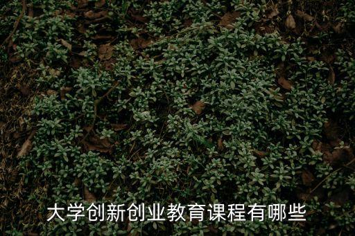 創(chuàng)業(yè)課程，大學(xué)創(chuàng)新創(chuàng)業(yè)教育課程有哪些
