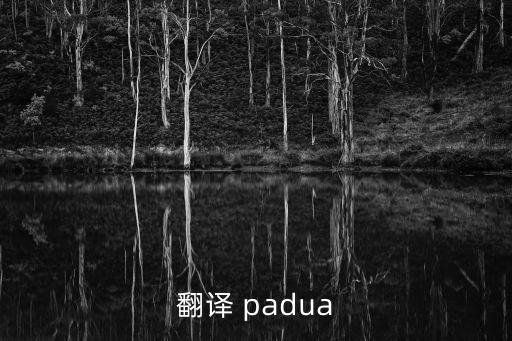 padua怎么讀，ipad怎么發(fā)音