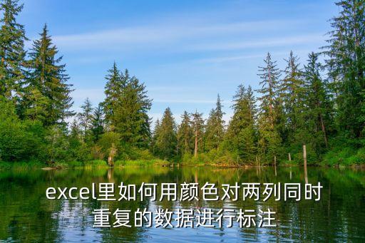  excel里如何用顏色對(duì)兩列同時(shí) 重復(fù)的數(shù)據(jù)進(jìn)行標(biāo)注