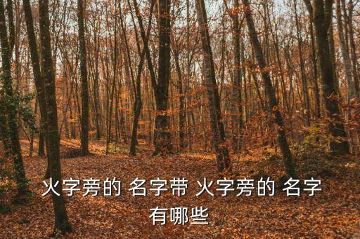  火字旁的 名字帶 火字旁的 名字有哪些