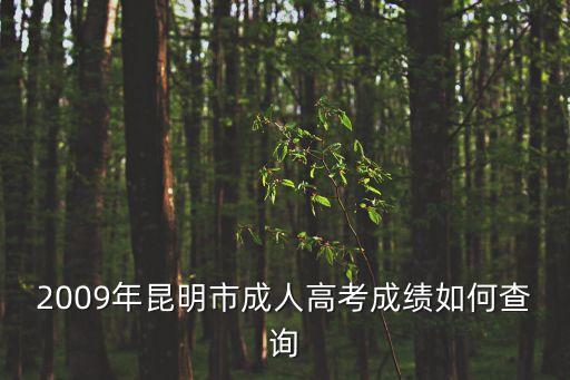 2009年昆明市成人高考成績?nèi)绾尾樵? class=