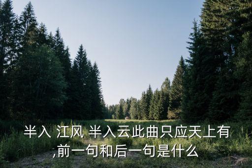半入江風(fēng)半入云,金城絲管日復(fù)一日直入清風(fēng)半入云