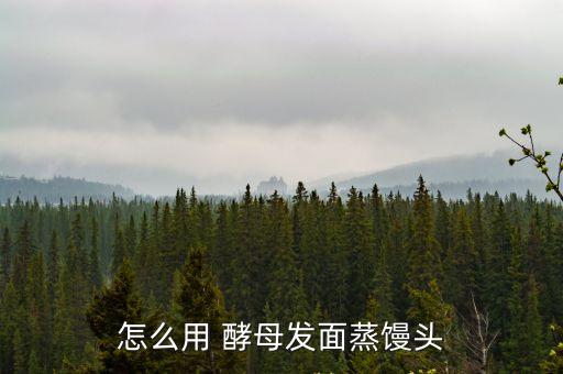 酵母怎么用,酵母用面團(tuán)蒸包子技巧:加糖提高發(fā)酵時間