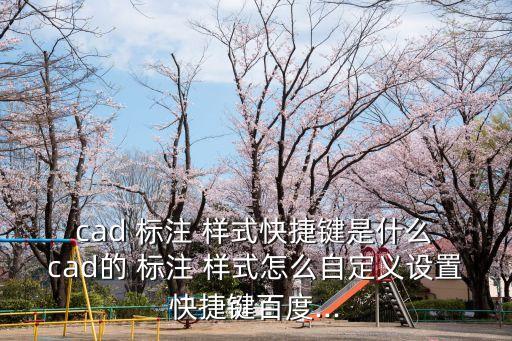  cad 標注 樣式快捷鍵是什么 cad的 標注 樣式怎么自定義設置快捷鍵百度...