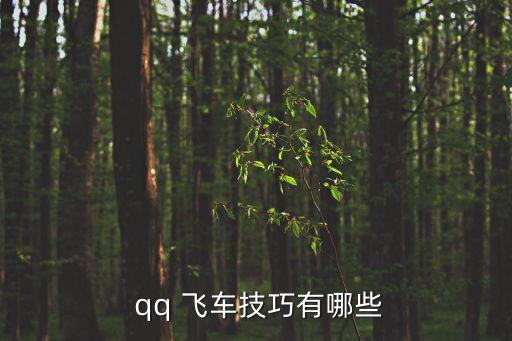 qq飛車技巧,騰訊飛車游戲攻略!