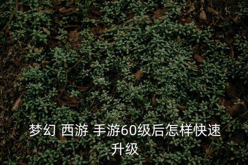  夢幻 西游 手游60級后怎樣快速 升級