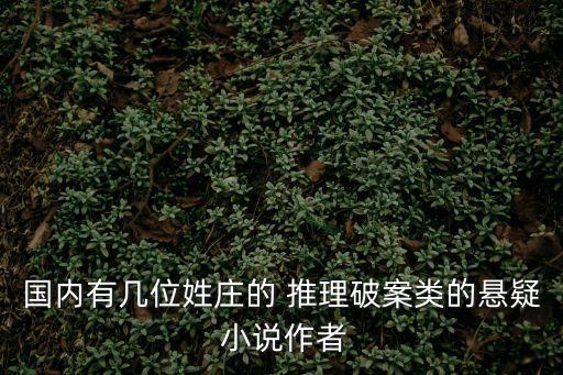 國內(nèi)有幾位姓莊的 推理破案類的懸疑 小說作者