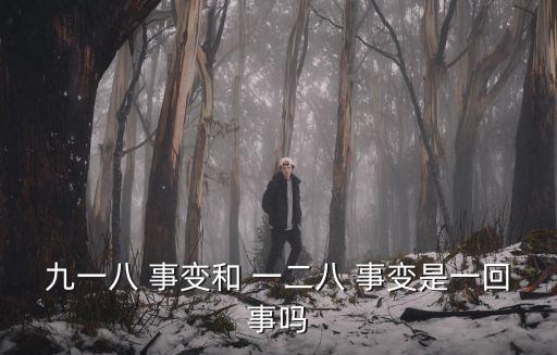 九一八 事變和 一二八 事變是一回事嗎