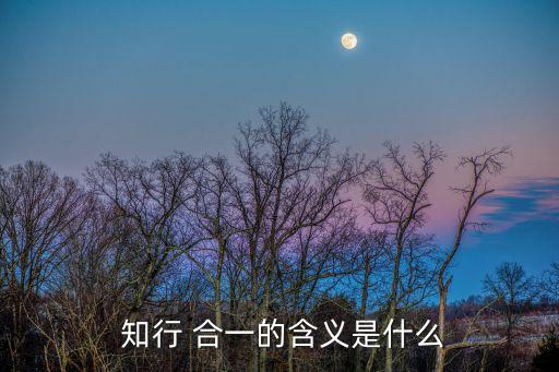什么是知行合一,王守仁:知行合一不是認識和實踐的關系