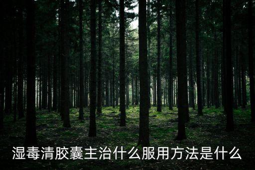 濕毒清膠囊主治什么服用方法是什么