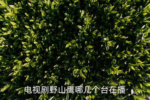 野山鷹電視劇，電視劇野山鷹蘇海棠和野山鷹戴的手銬是真的嗎