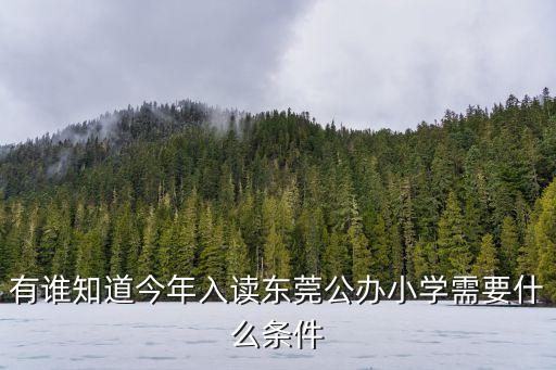 有誰知道今年入讀東莞公辦小學需要什么條件