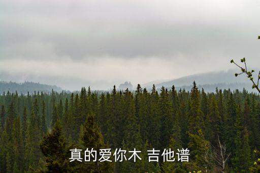 真的愛你電吉他譜,簡版樂譜教你彈奏吉他