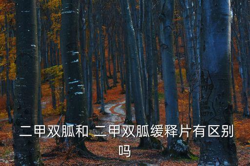  二甲雙胍和 二甲雙胍緩釋片有區別嗎