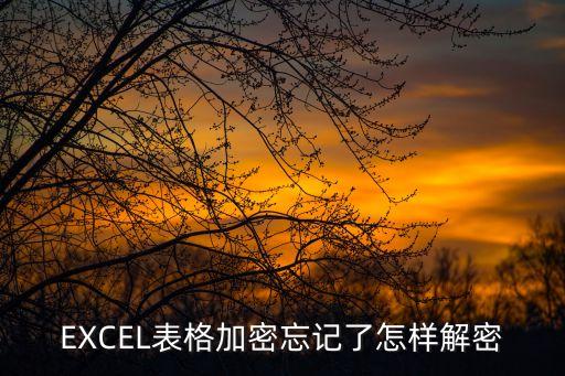 excel文件加密忘記密碼怎么解除，EXCEL表格加密忘記了怎樣解密
