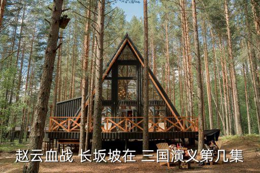 趙云血戰 長坂坡在 三國演義第幾集