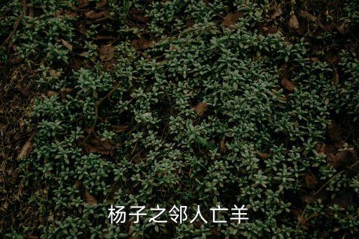 楊子之鄰人亡羊