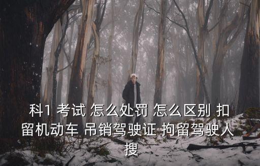 科目一罰款，違章考科目一要多少錢