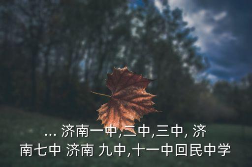 濟南九中,濟南七中是山東大學附屬高中師資力量最強