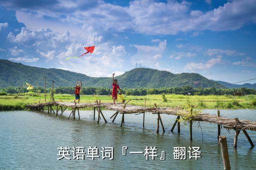  英語單詞『一樣』翻譯