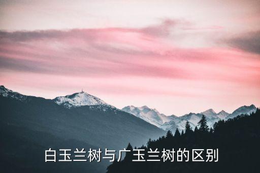 白玉蘭樹,白玉蘭和玉蘭蘭的區別