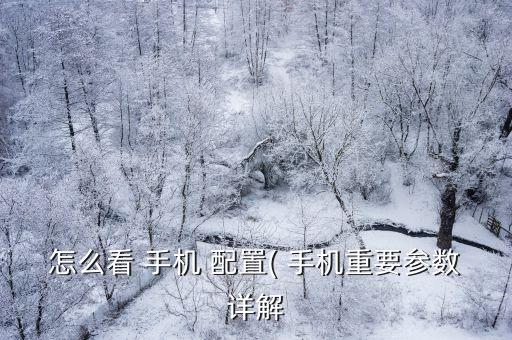 手機配置怎么看,如何看待手機配置?