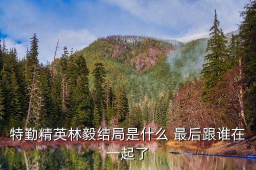 特勤精英林毅結局是什么 最后跟誰在一起了