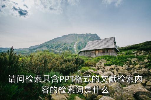 檢索詞，請問檢索只含PPT格式的文獻檢索內容的檢索詞是什么