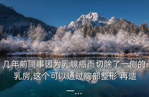 幾年前同事因為乳腺癌而切除了一側(cè)的 乳房,這個可以通過胸部整形 再造一...