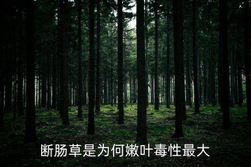 素甲，青敏素V甲一天吃幾次