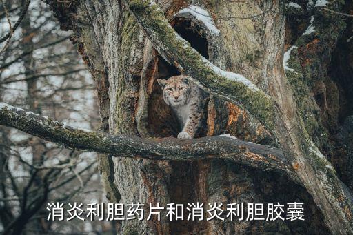 消炎利膽膠囊，急性膽囊炎吃什么藥