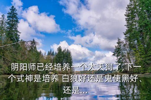 陰陽師白狼,斗地主推出新游戲:白狼是后期神