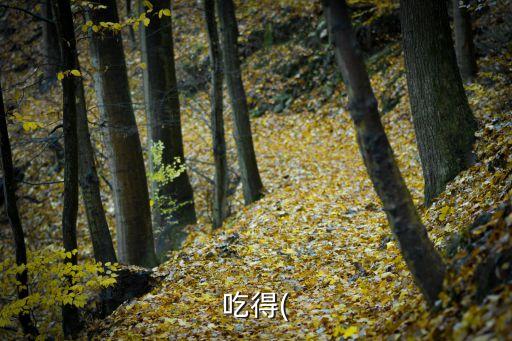 吃得什么填詞語,第二集:吃的直流汗、吃得津津有味