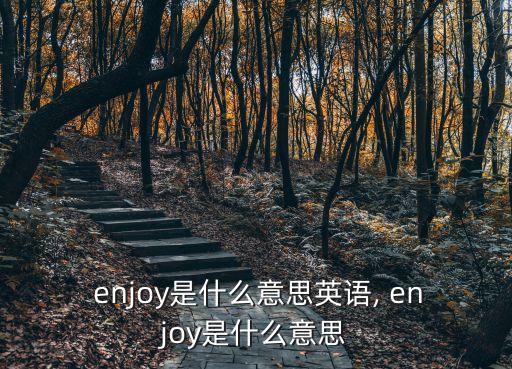 enjoy,他不會唱歌但他會做好每件事