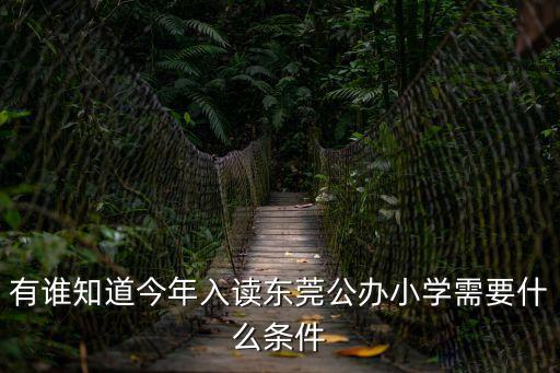 有誰知道今年入讀東莞公辦小學需要什么條件