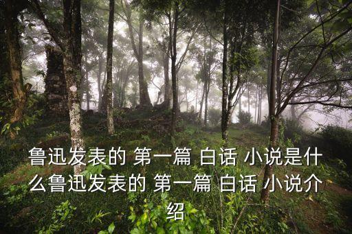 第一篇白話小說,第一篇白話小說是她的失敗