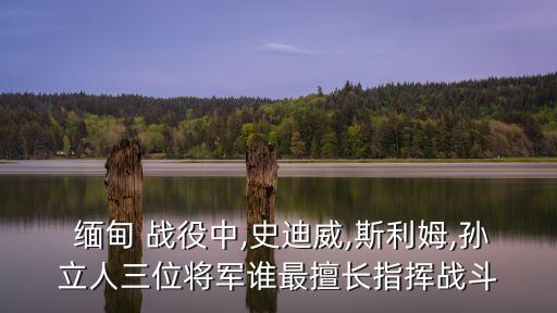  緬甸 戰役中,史迪威,斯利姆,孫立人三位將軍誰最擅長指揮戰斗