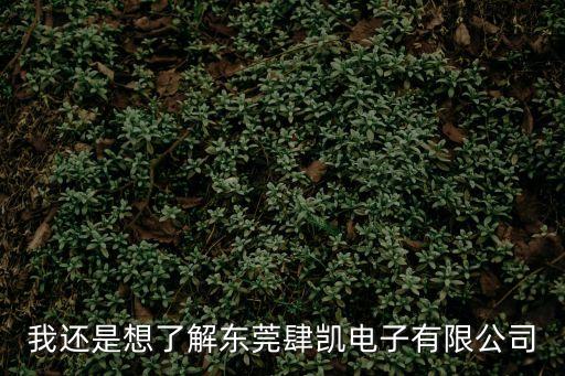 我還是想了解東莞肆凱電子有限公司