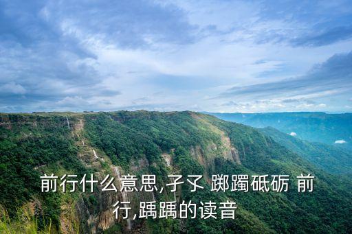  前行什么意思,孑孓 躑躅砥礪 前行,踽踽的讀音