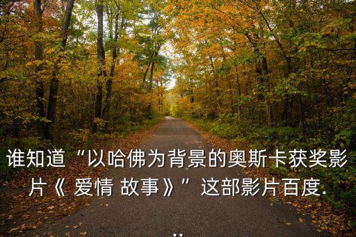 美國愛情故事,愛情故事高清資源免費在線觀看鏈接