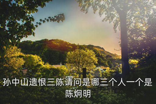 陳少白，陳少白為外海做了甚么