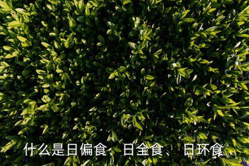 日環(huán)食圖片,日環(huán)食和月全食出現(xiàn)在哪個(gè)位置?