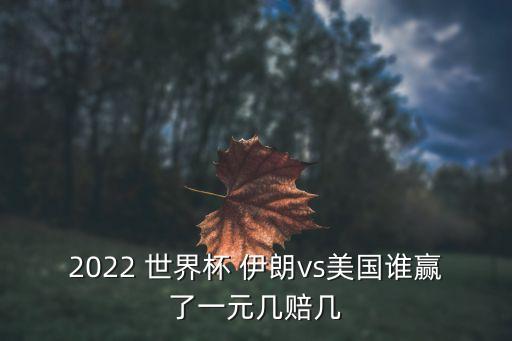 世界杯伊朗,伊朗team世界杯歷史成績公布