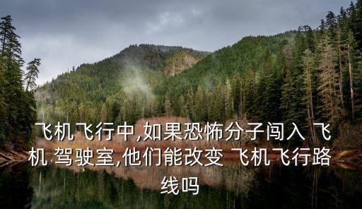 飛機駕駛室,對飛機一無所知恐怖分子或無法改變飛行路線